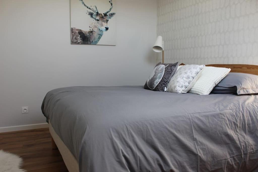 Апартаменти T4 Meuble De 105M2 Axe Annecy-Geneve Сен-Мартен-Бельвю Екстер'єр фото